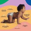 Hello Bello Premium Baby Diapers Size Newborn, 128 Count of Disposable, Extra-Absorbent, Hypoallergenic Baby Diapers with Snug and Comfort Fit, Alphabet Soup (64) and Sleepy Sloth (64)