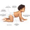 Hello Bello Premium Overnight Baby Diapers Size 3, 24 Count, Unisex, Ultra Absorbent and Soft Disposable Diapers for Babies and Toddlers(Size 3 (14-24 Pound) (Pack of 2))
