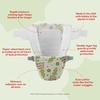 Hello Bello Dr. Seuss Baby Grinch Premium Diapers, Size 3 (14-24 lbs), 66ct Plus Bonus Wipes: Softness & Protection for Sensitive Skin (Packaging May Vary)(Dr. Seuss Baby Grinch)